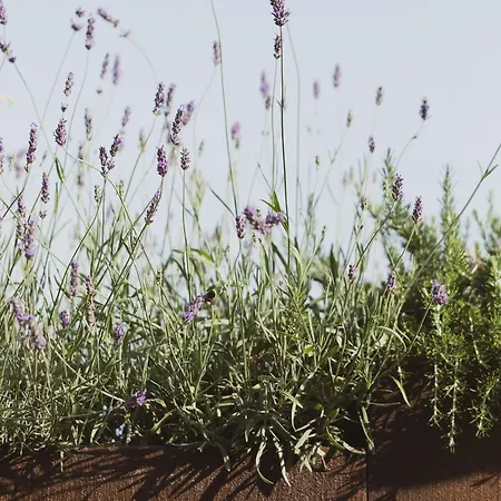 Al Borgo 02 Luxury In Sardinia Dom wakacyjny *