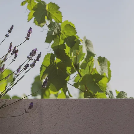 Casa vacanze Al Borgo 02 Luxury In Sardinia